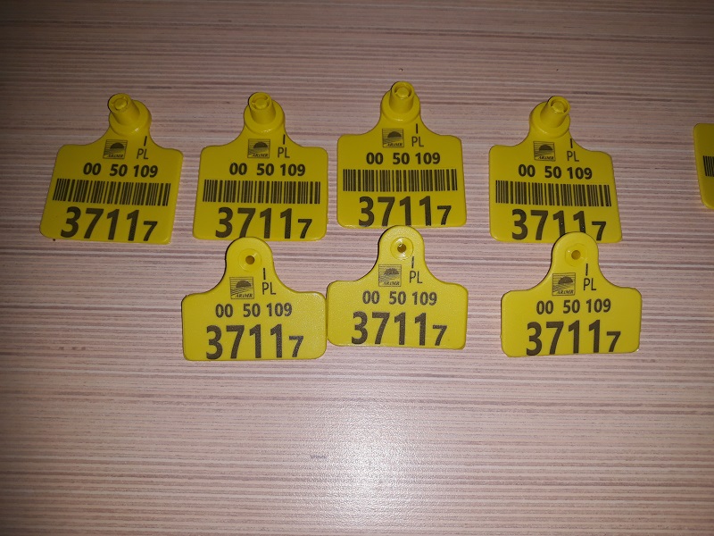Ear Tag Marking