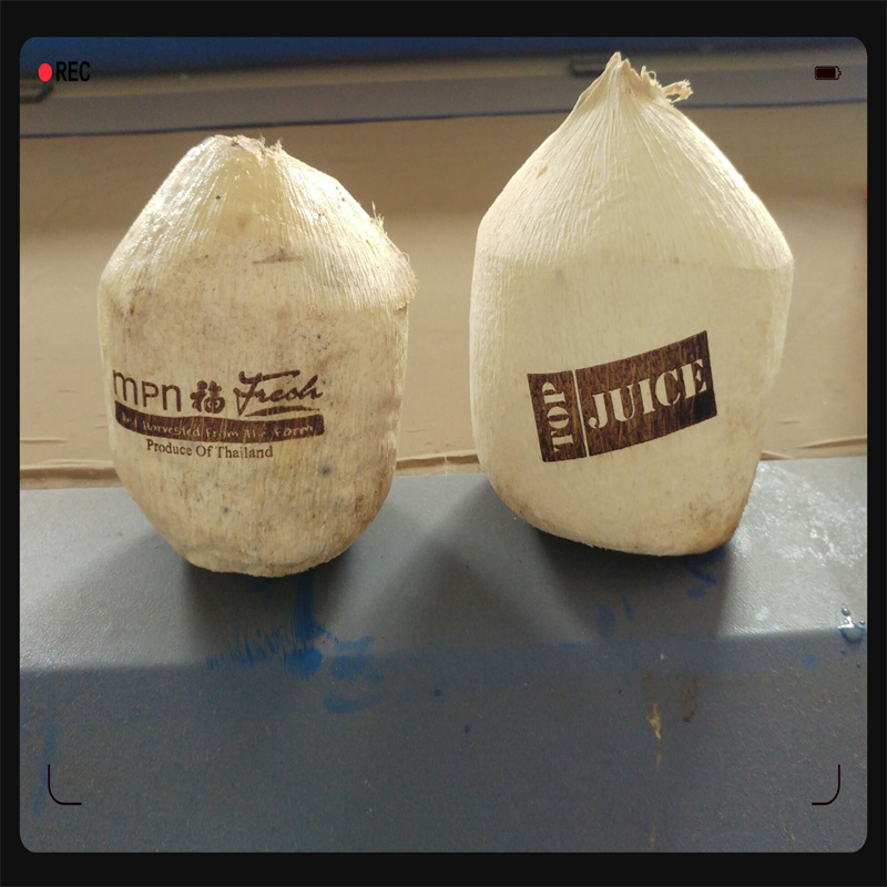 Coconut Marking